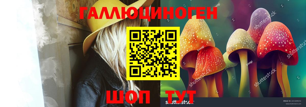 Галлюциногенные грибы мухоморы Усть-Кут